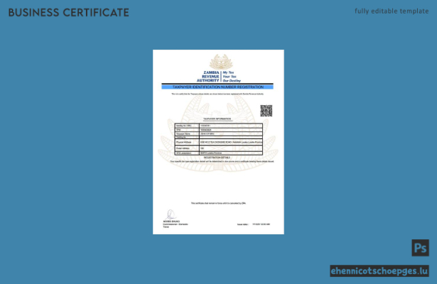 Beispiel für die Registrierung der sambischen Steueridentifikationsnummer (Word- und PDF-Datei)